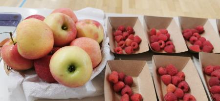 dan zdravja 2022 (22)